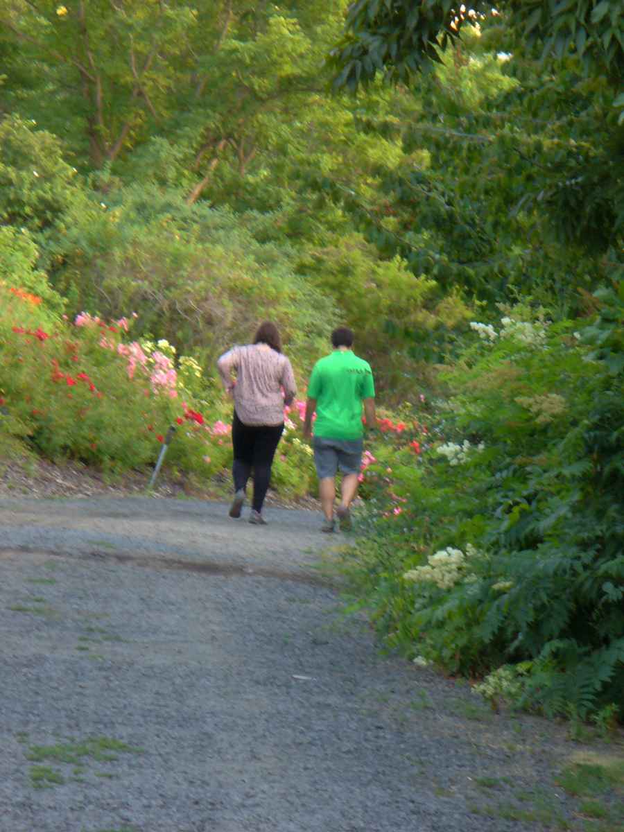 Walk in park by Susan Fluegel